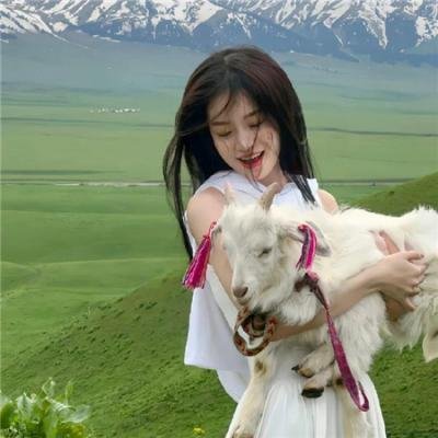 小白旗的风波海报